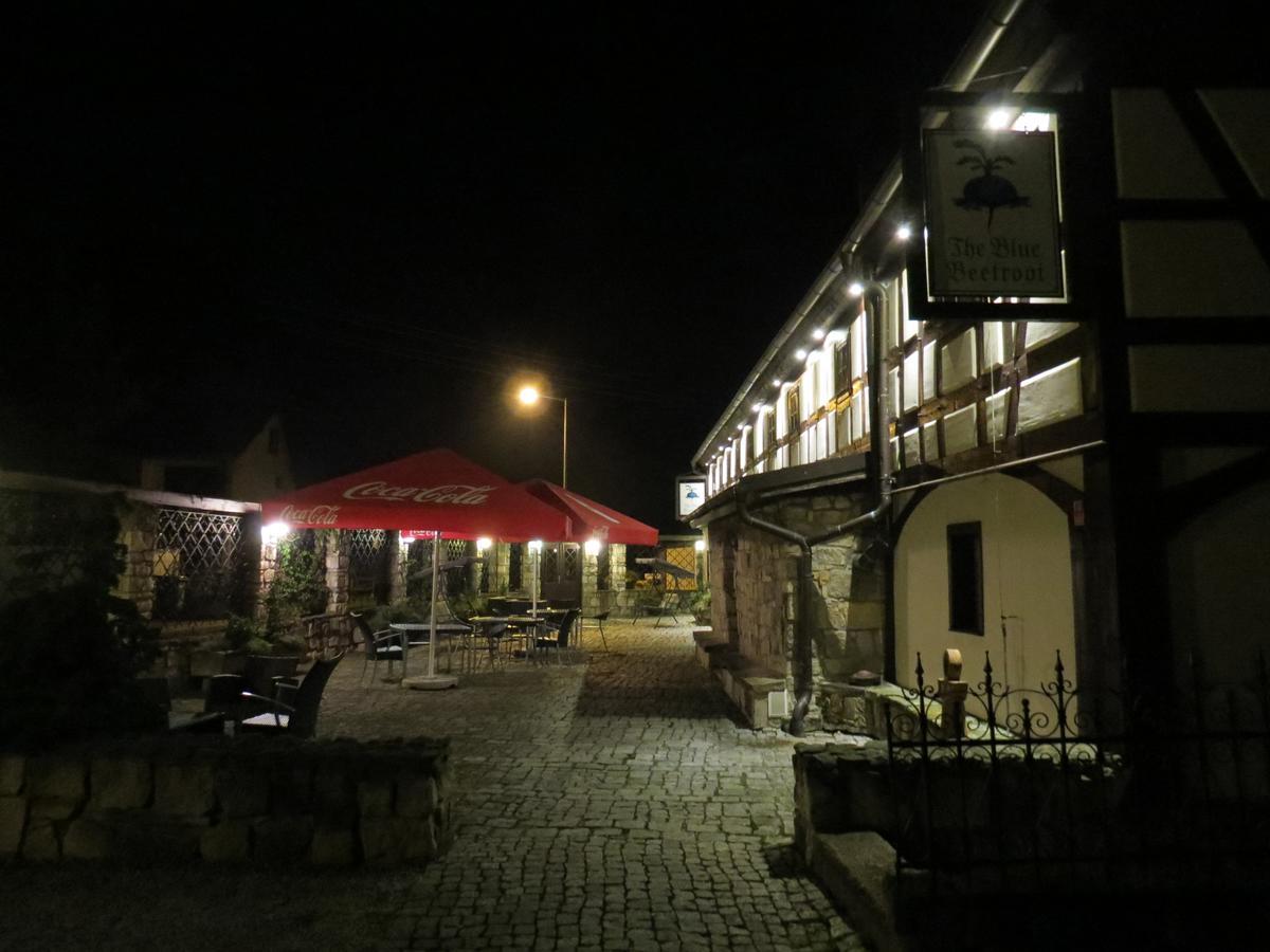 The Blue Beetroot Aparthotel Boleslawiec  Exterior foto